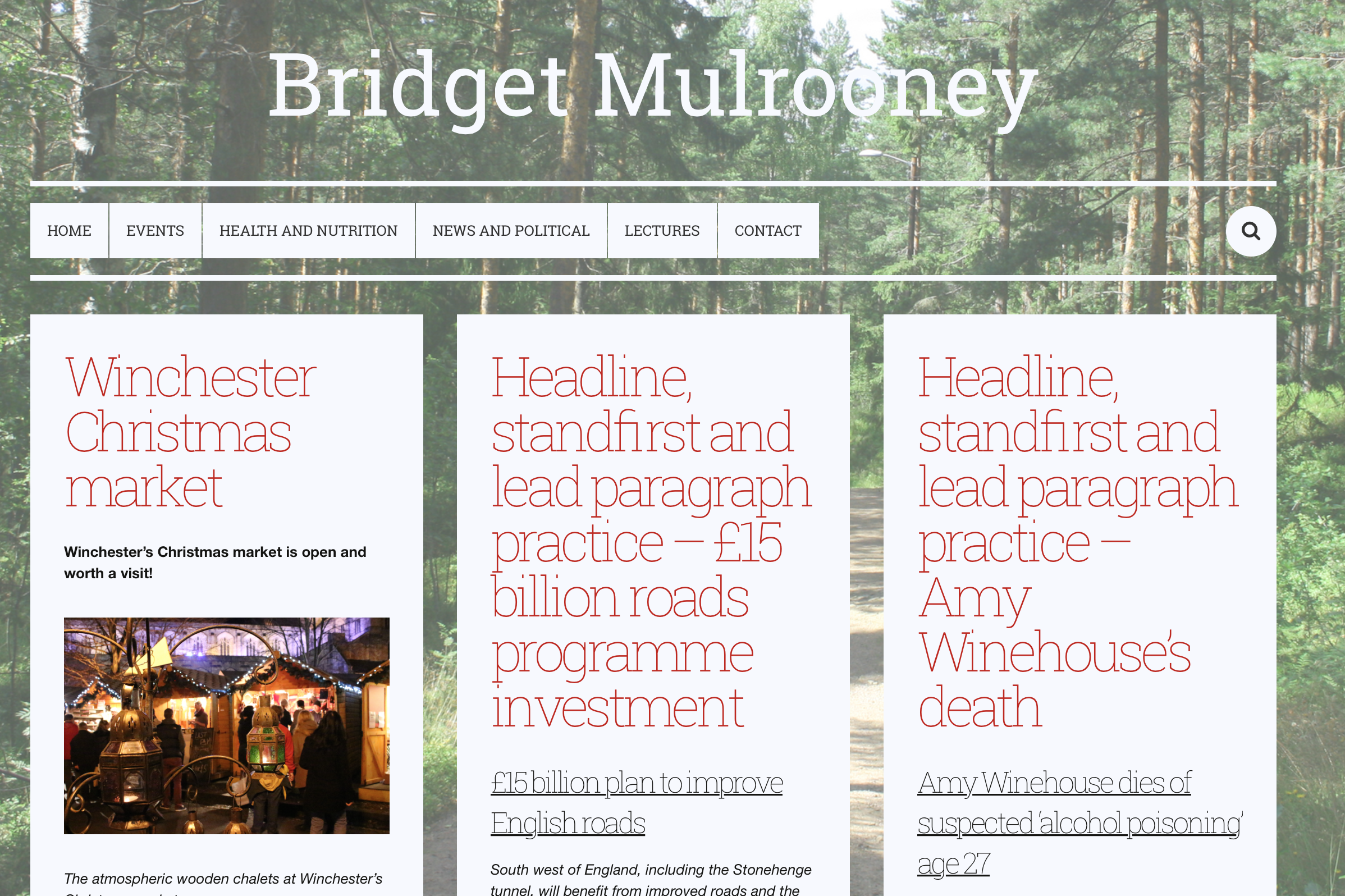 Bridget Mulrooney website home page