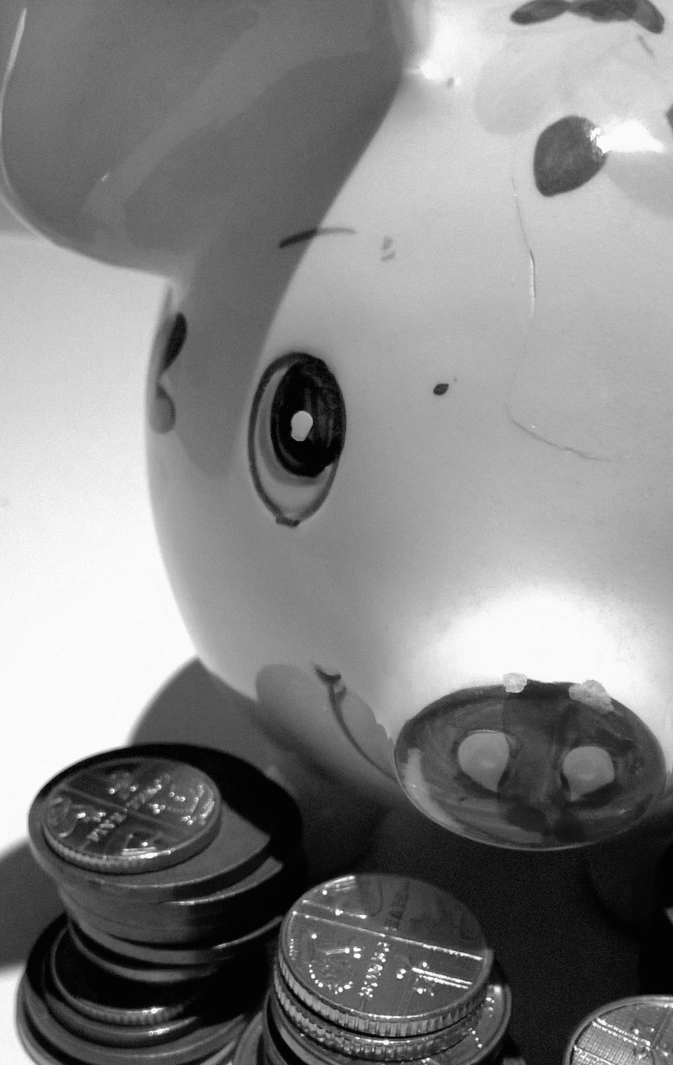 Is your piggy bank in good use?